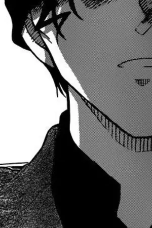 ปกนิยาย [Fic Conan] What if...(OC x Akai Shuichi)