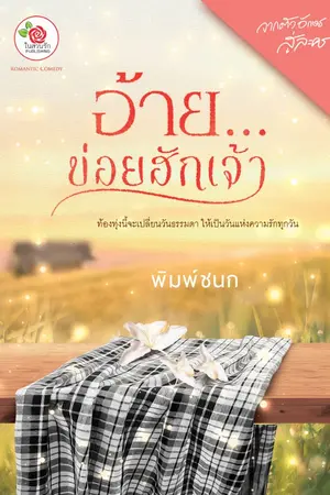 ปกนิยาย