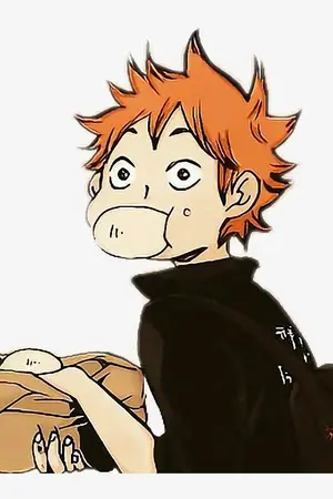 ปกนิยาย [FIC Haikyuu] OS/SF [ALL X HINATA]