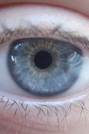 ปกนิยาย ภาพสี #ภาพสีชบ