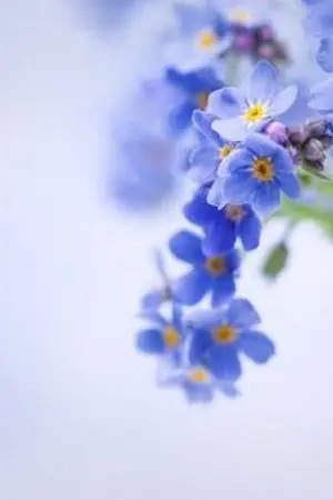 ปกนิยาย #จนวันสุดท้ายมบ