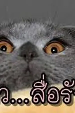 ปกนิยาย ไอ้ต้าว...สื่อรัก