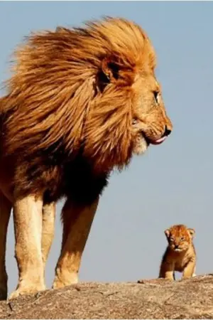 ปกนิยาย คุณเหรอพ่อของผม