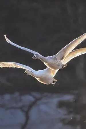 ปกนิยาย เพื่อนผมมันใจร้าย