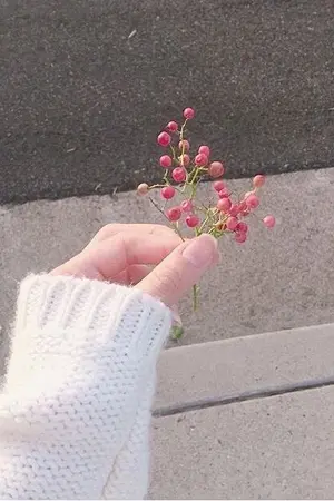 ปกนิยาย [OS/SF] #WANNATWICE etc.