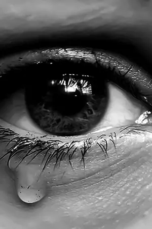 ปกนิยาย [END] Ex-Wife เมียเก่ากุกมิน KOOKMIN [เปิดขายไฟล์ฟิค]