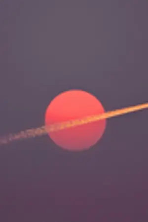 ปกนิยาย You're my missing piece