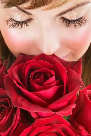 ปกนิยาย กุหลาบหลากสี (มีอีบุ๊ค)