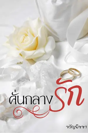 ปกนิยาย คั่นกลางรัก (e-book)