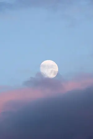 ปกนิยาย ขอจันทร์ | vkook | jikook |