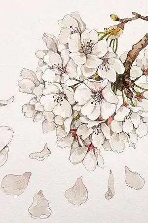 ปกนิยาย ❀สวนกุหลาบ❀