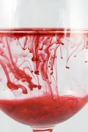 ปกนิยาย ความรักในกองเลือด