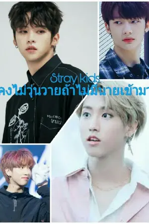 ปกนิยาย 《Stray kids》คงไม่วุ่นวายถ้าไม่มีนายเข้ามา