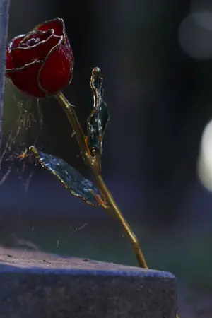 ปกนิยาย REVENGE รักล้างแค้น