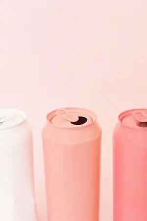 ปกนิยาย dear my palace | linhoon