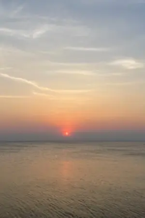 ปกนิยาย ข้าจะมีชีวิตที่ดีขึ้น