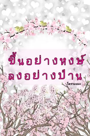 ปกนิยาย