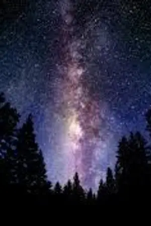 ปกนิยาย him of another world