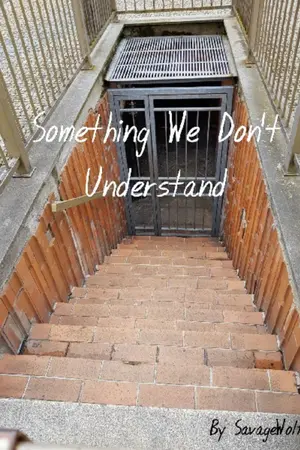 ปกนิยาย Something We Don't Understand