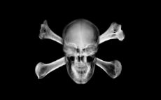 ปกนิยาย กษัตริย์เงาบาป