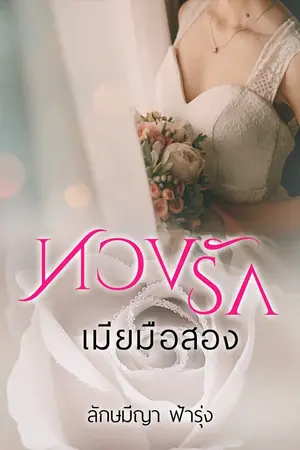 ปกนิยาย