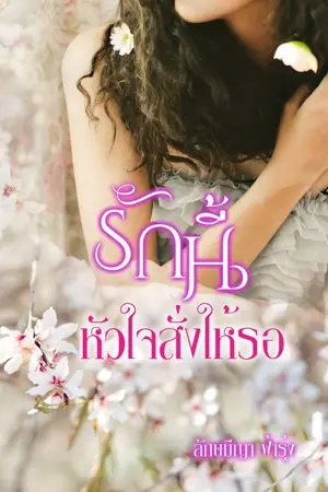 ปกนิยาย