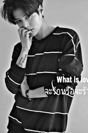 ปกนิยาย WHAT IS LOVE...? จะรักหรือจะร้าย