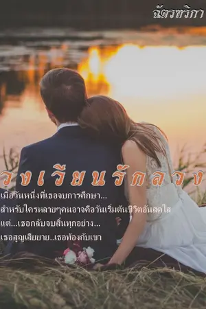 ปกนิยาย วงเวียนรักลวง (รีอัพ)