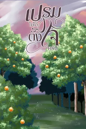 ปกนิยาย เปรมไม่ได้ตั้งใจครับ (Mpreg)