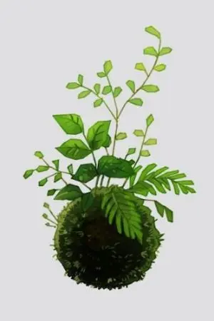 ปกนิยาย มีชีวิตต่อไปนะ