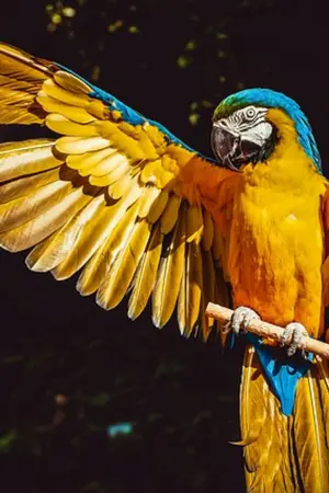 ปกนิยาย BIG BOSS 👑 "อย่าให้บอสต้องลงมือ!"