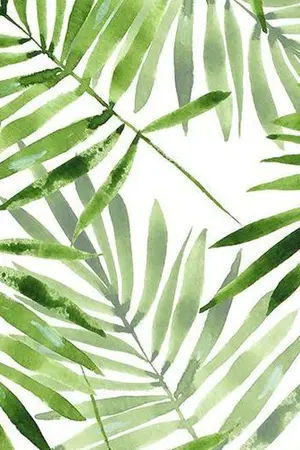 ปกนิยาย ?MUAY SATATION