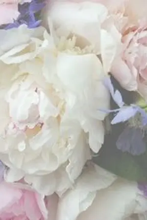 ปกนิยาย ➵ once upon a time ☀ #allren ✿