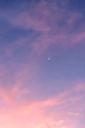 ปกนิยาย #องศาชอบแดนเหนือ •.★* | #เนียลอง #nielong