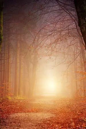 ปกนิยาย You เพราะรัก  (OMEGAVERSE) #minhyunbin ft. produce 101 ss2