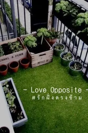 ปกนิยาย Love Opposite รักฝั่งตรงข้าม