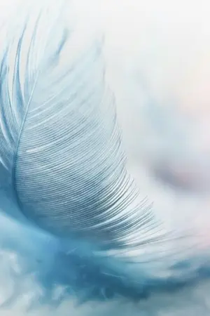 ปกนิยาย สาวห้าวเจ้าเสน่ห์