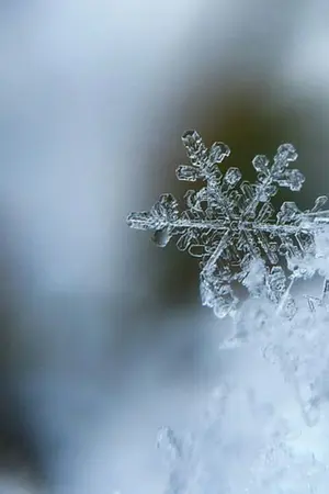 ปกนิยาย Jack frost♡ Elsa รักข้ามขั้วน้ำแข็ง