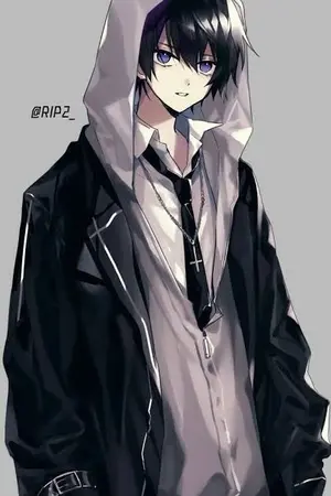 ปกนิยาย SHADOW PALADIN