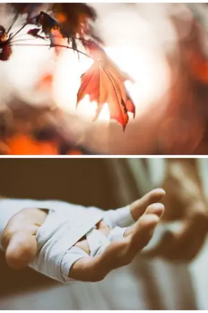 ปกนิยาย [QZGS Fanfiction] - Fallen Leaf - หานเยี่ย