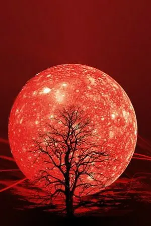 ปกนิยาย Moon and frost.(Lokipete)