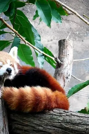 ปกนิยาย - F A R M -