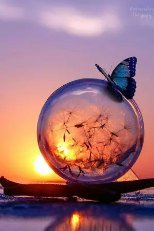 ปกนิยาย [FanFic] ROV arena of valor