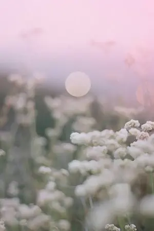 ปกนิยาย Fic Rov [Yaoi BL]