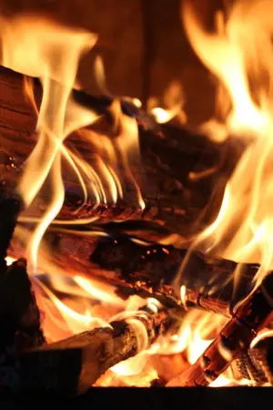 ปกนิยาย ลาญใจรัก