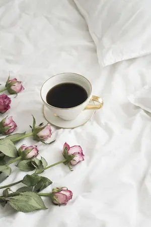 ปกนิยาย ปล้นใจรัก