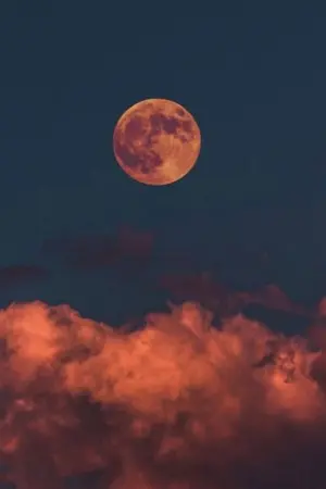 ปกนิยาย (SF/OS) In the dream | chanbaek