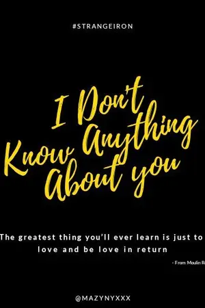 ปกนิยาย [StrangeIron] I Don't Know Anything about You