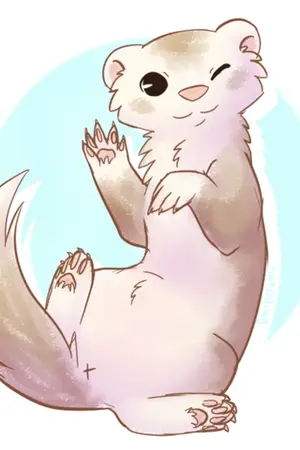 ปกนิยาย [HP/DM] My Prefer(ret)