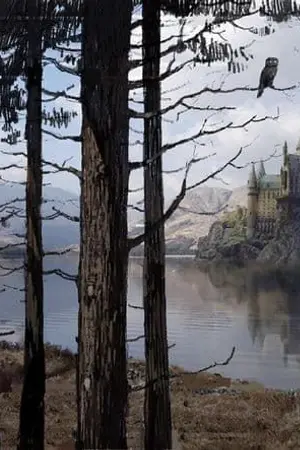 ปกนิยาย [BL] Harry Potter Fanfic | Behind the Picture